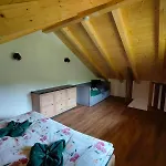 Burgbichl Apartment *