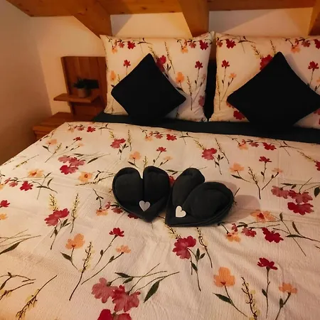 Burgbichl Rothenthurn