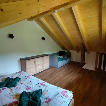 Burgbichl Apartment *