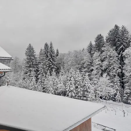 Burgbichl *