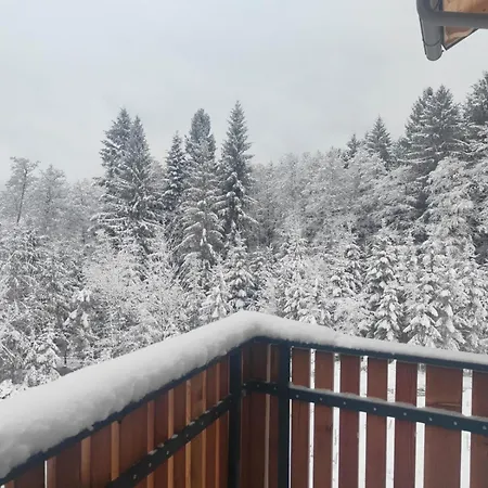 公寓 Burgbichl Rothenthurn