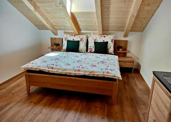 Burgbichl Appartement